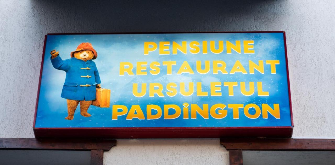 Pensiunea Ursuletul Paddington เปรดัล ภายนอก รูปภาพ